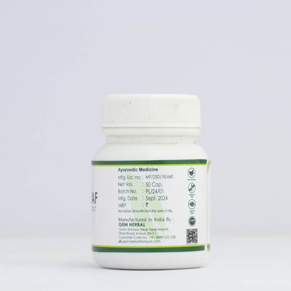 Papaya Leaf Extract – Platelet Booster & Immunity Support - Gemherbal